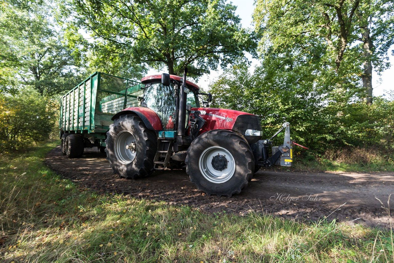 Bild 209 - Maisernte